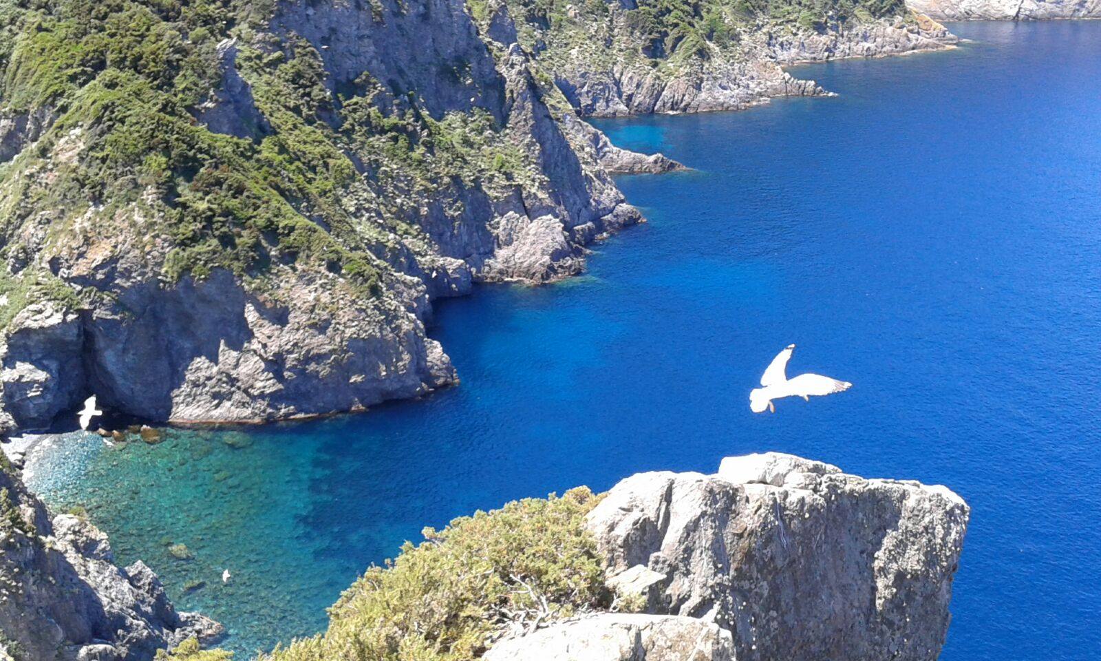 Isola di Gorgona. Un paradiso naturale in Toscana