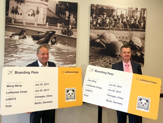 Lufthansa Cargo to fly Berlin pandas First Class | Air Cargo