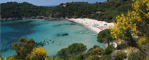 Spiagge dell'Isola d'Elba: la Costa del Sole