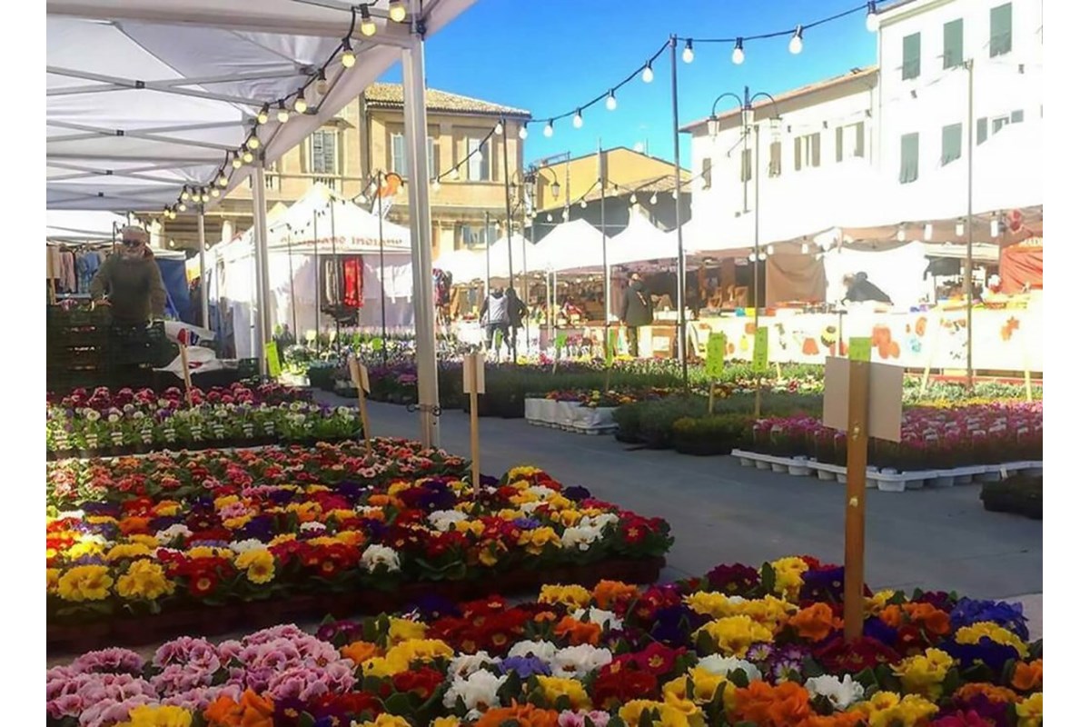 Weekend del 25 aprile a Senigallia - Cose da fare e da vedere durante il ponte