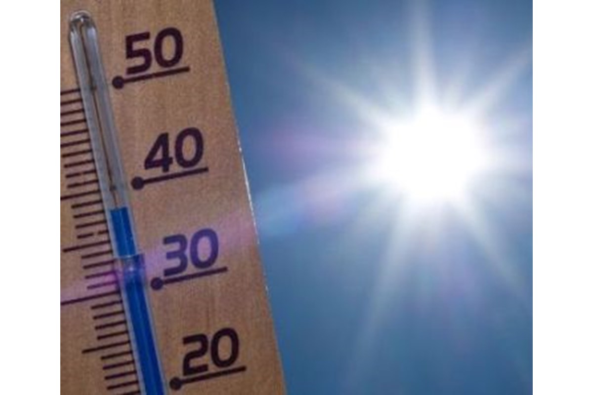 Caldo estivo: e se provassimo a combatterlo anche naturalmente?