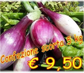 In Calabria è tempo di Cipolla Rossa di Tropea di nuovo raccolto