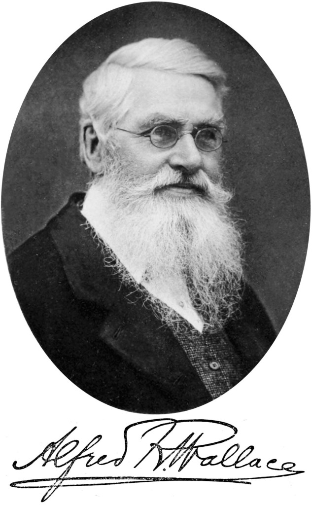 26 aprile 1848: Wallace e Bates partono per l’esplorazione dell’Amazzonia