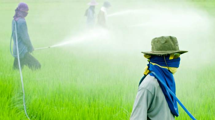 Confermata la trattativa per l'acquisto di Monsanto da parte di Bayer