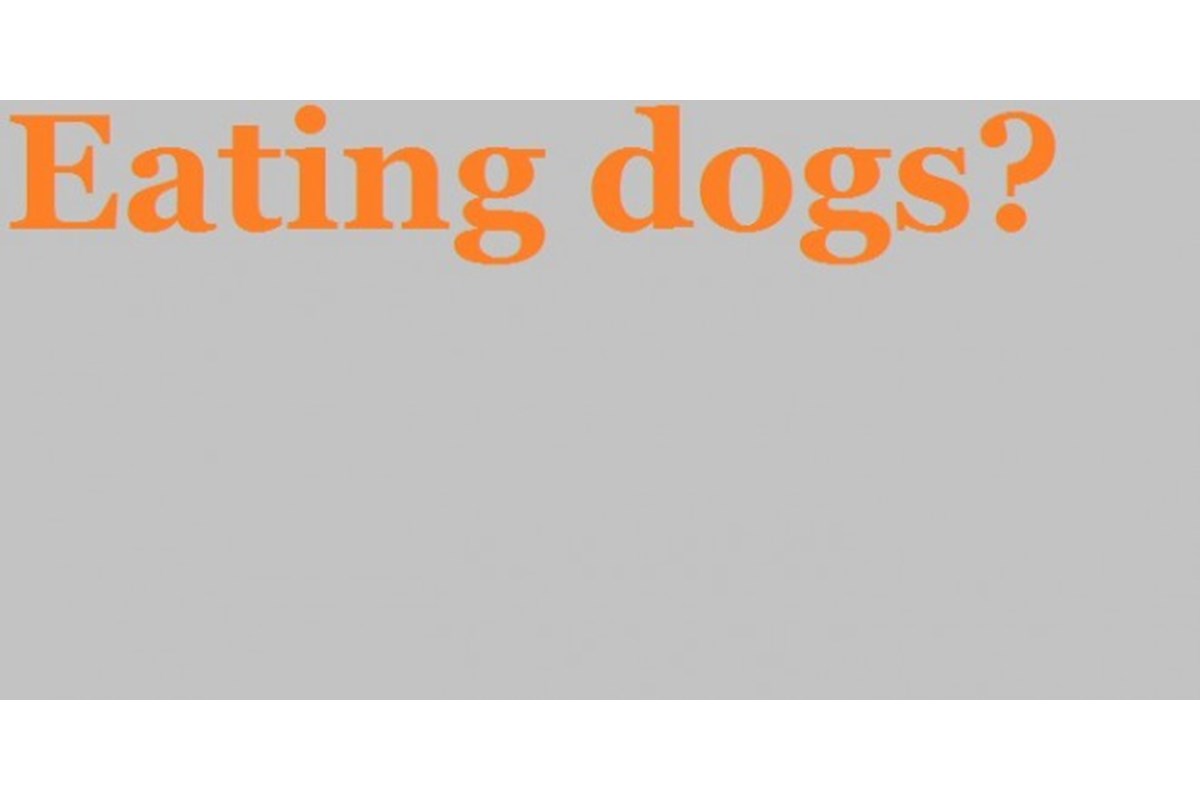 Yulin Festival 2016, le ultime