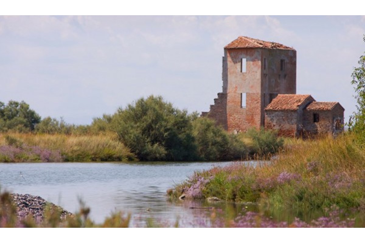 Dormire in camping in occasione della Fiera del Birdwatching a Comacchio