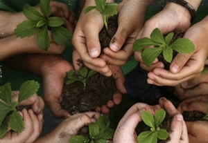 Marco Carra: servizio civile nell'agricoltura sociale per 1830 giovani