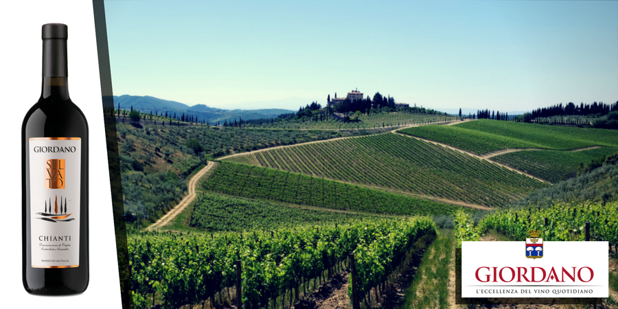 Tutto sul Chianti, campione dei vini di Toscana