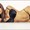 sexygossip sexygossip